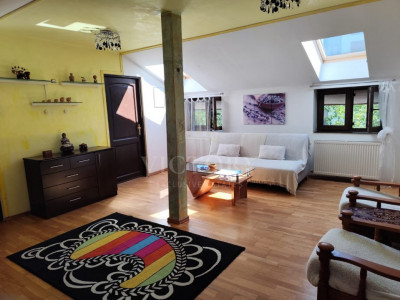 Apartament cochet într-o vilă interbelică 