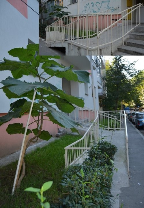 Lacul Tei 2camere || deosebit contract || liber 20 sept