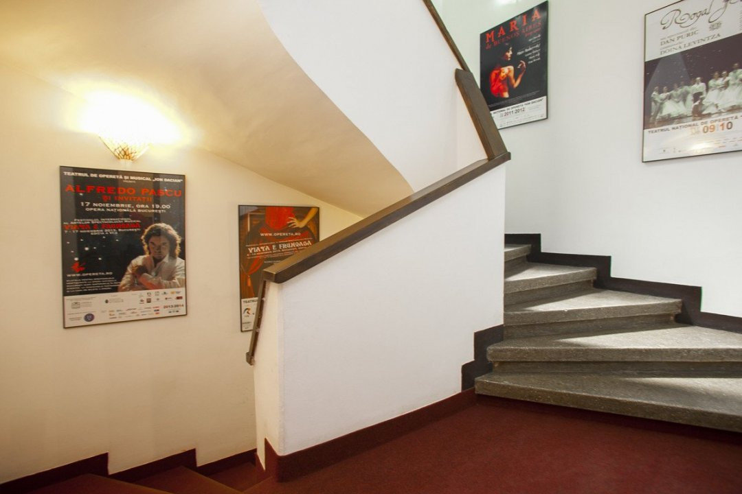 VILA INTERBELICA || UNIVERSITATE || INVESTITIE