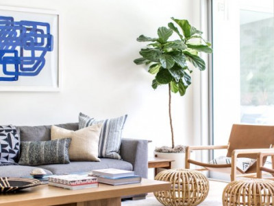 VILA IN LIZIERA PADURII || DEZVOLTATOR || 