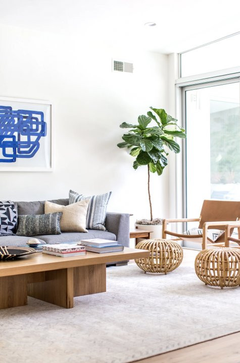 VILA IN LIZIERA PADURII || DEZVOLTATOR || 