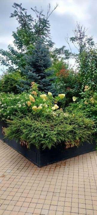 Apartament 2 camere || Complex Parcului|| la 5 min de Herastrau